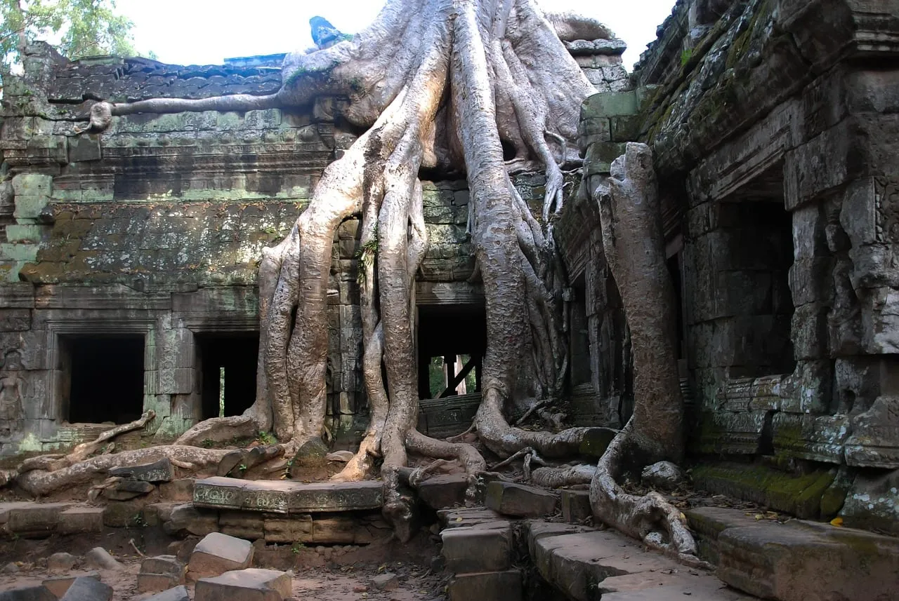 Tree roots spilling over a doorway at Ta Prohm