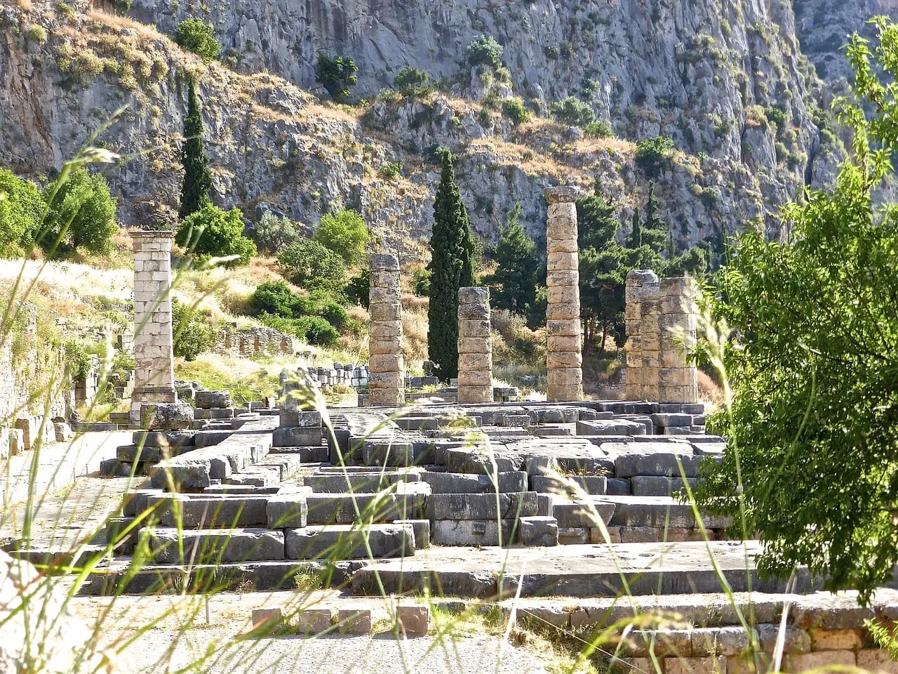 Columns of the Temple of Apollo among cypress trees