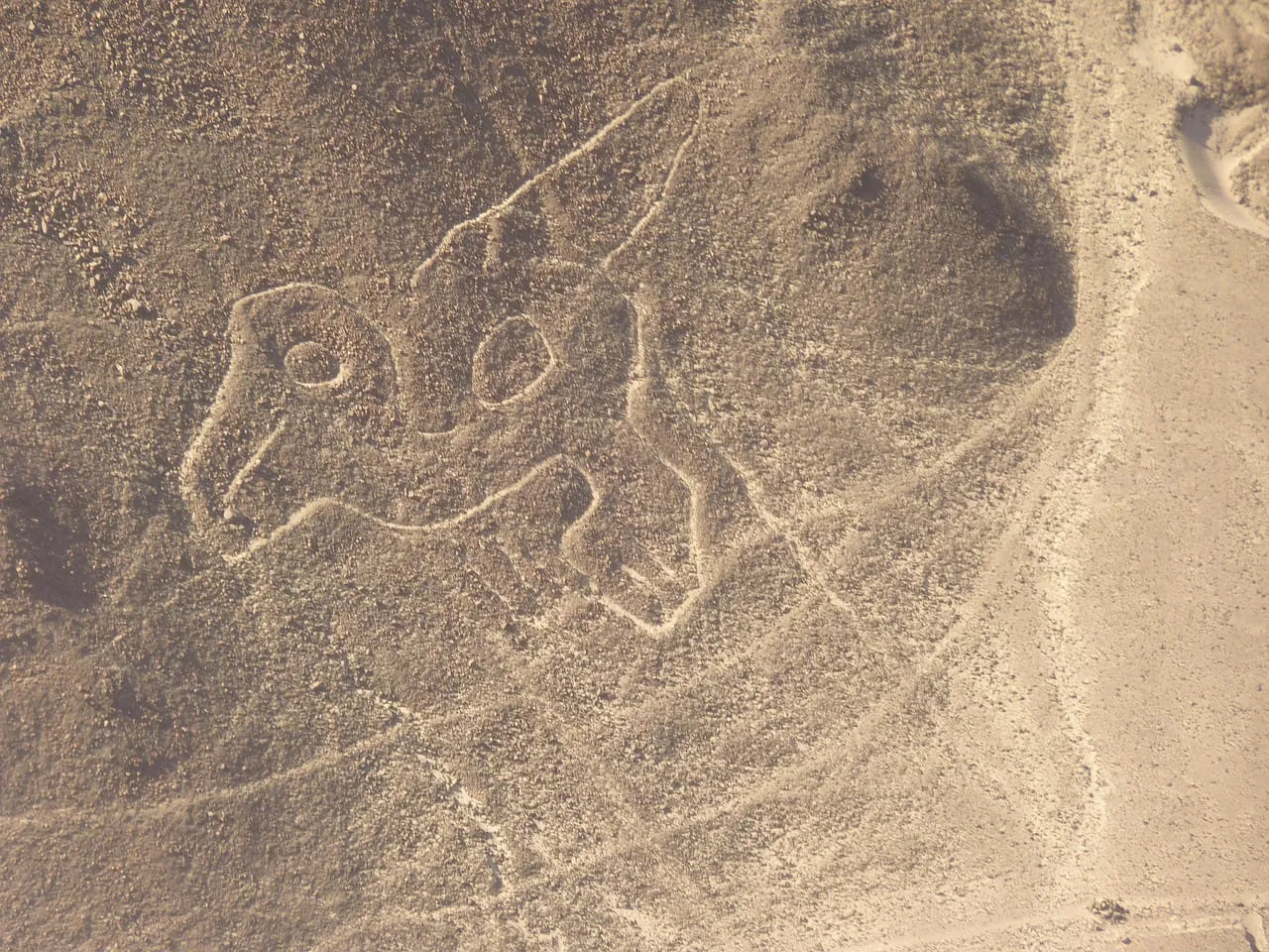 A Nazca figure of an animal drawn in the desert