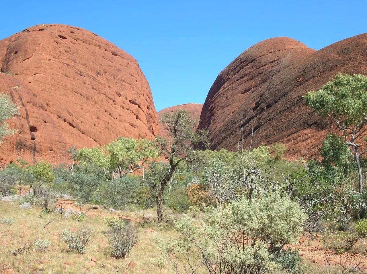 The rounded domes of Kata Tjuta with green scrub below