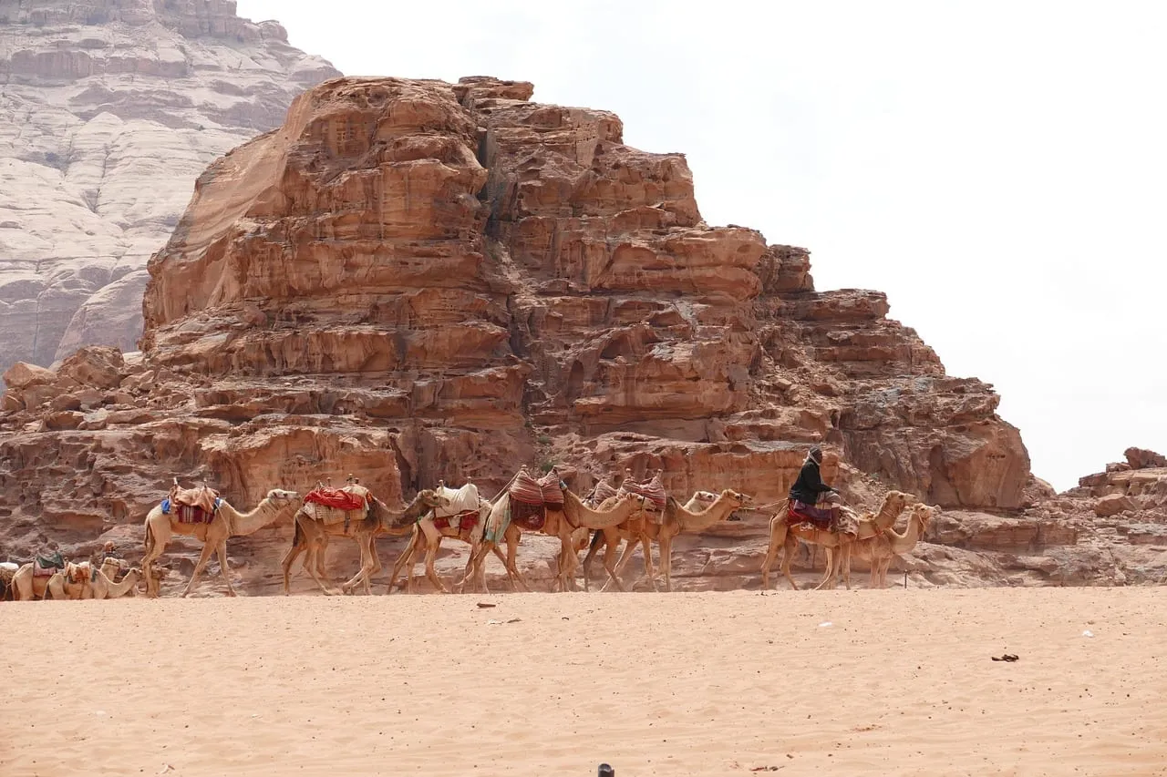 A camel train passing below a sandstone cliff